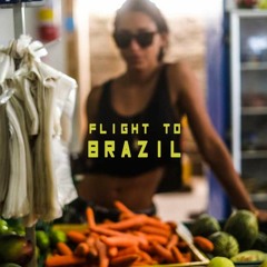 Flight to Brazil
