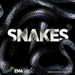 EM4 - SNAKES