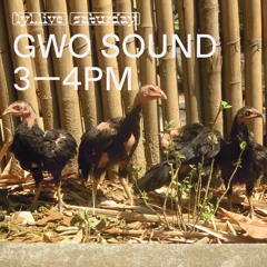 LYL Radio — Gwo Sound Show (24.02.18) w/ Numa & Jean Toussaint