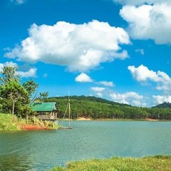 Nhạc Việt