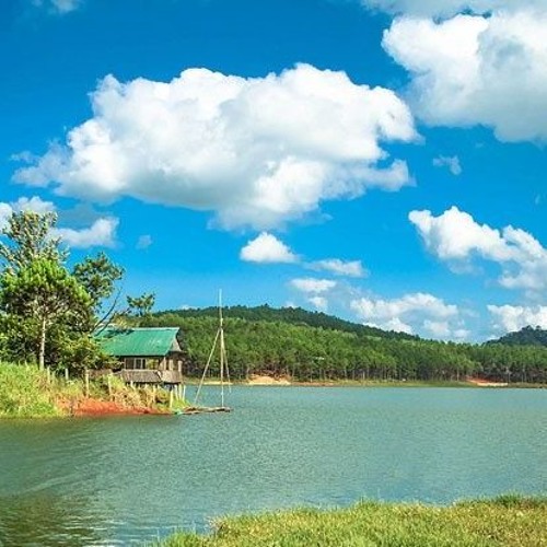 Nhạc Việt