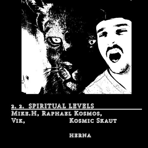 vik @ spiritual levels - herna 02.02.2018