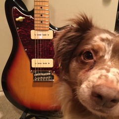 Tagima Guitar Demo