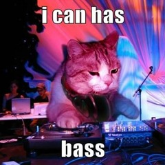 TrippyKitty - Birds N' Cats