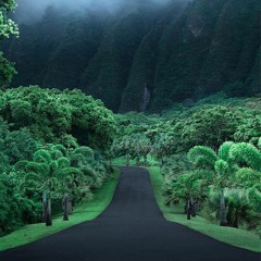 American Themes - Hawaii