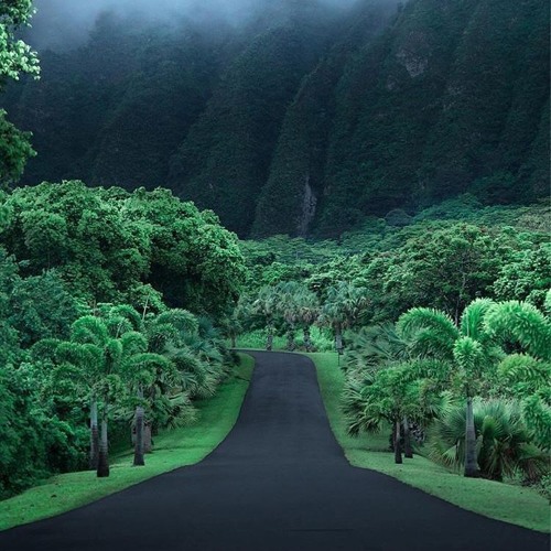 American Themes - Hawaii
