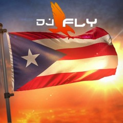 Dj Fly - Reggeaton Desde Marzo 2k18