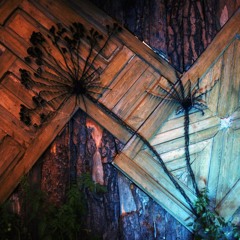 Wilde Möhre Festival 2017 I Immergrün Opening