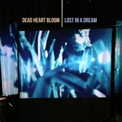 Lost In A Dream (Single)