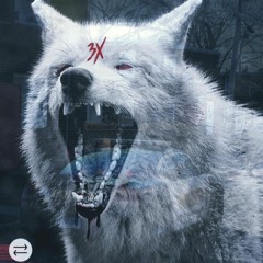 K.O. Beans X Ace $antana-Set Tripping