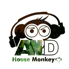 House Monkey - The Colombian Jungle