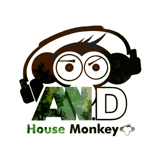House Monkey - The Colombian Jungle