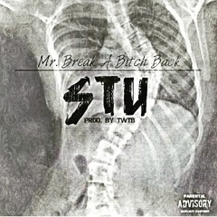 Mr.BreakaBitchBack prod. T.W.T.B