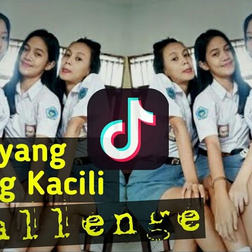 Dj Breakbeat Mix Tik Tok Anjing Kacili 2k18 By Banglukmancun On