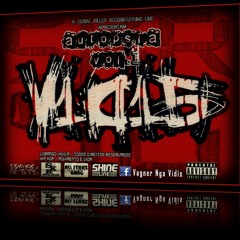 Vidis XD - Amor é Vida