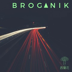 I Could Be Shaq feat. Snoop (BROGANIK Mashup)