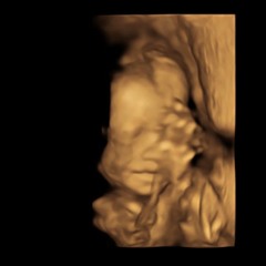 a love song for Troy