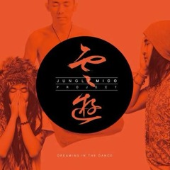 THE NITE IN MIAO VILLAGE 苗寨的夜