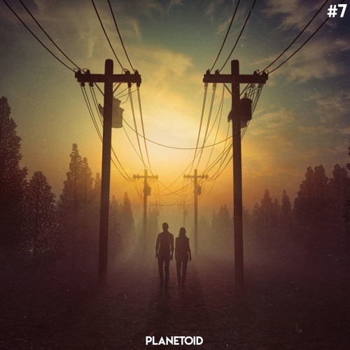 PLANETOID #7 | Roses & Max Vermeulen - ID