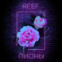 Мы видели дым