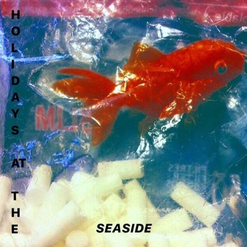 Holidays At The Seaside