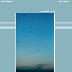 2019 - Ambient