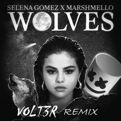 WOLVES Ft. Selena Gomez & Marshmello (Volt3r Remix)