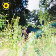 sunflower - intro cover
