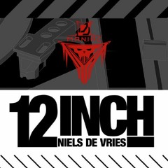 Niels de Vries - 12 Inch (DJ Maniac Bootleg 2018 Short Cut)