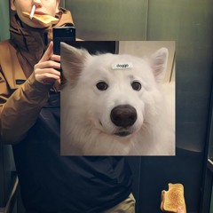 zahl´n (prod. Ditty Beatz)