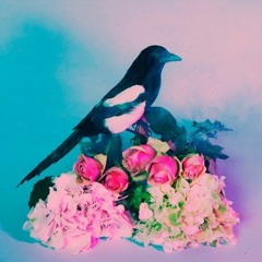 Bad Decisions w/ rxdlxst