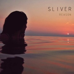 Sliver - Reason (Radio Edit)