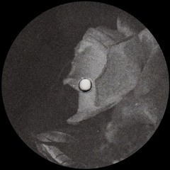 Shokh - Vernication Seven