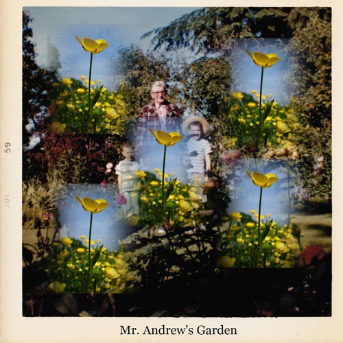 Stream Butterfly by Mr. Andrew's Garden Listen online for free on
