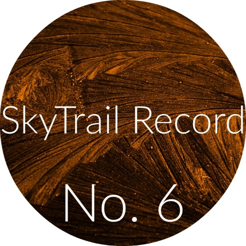PLERI - SkyTrail Record No. 6