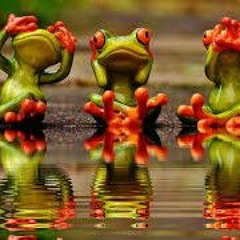 uplifting day prog/psy/full on