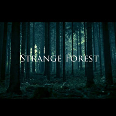 Strange Forest  (+Music Video \/ in the description \/)