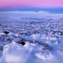 3 Mouvements pour Synthétiseurs analogiques: Ouverture, Déserts, Chant