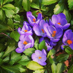 I Can't Wait (sketch in G)