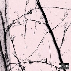uglytenshin - skalpell (prod. Sid White x $UPRA)