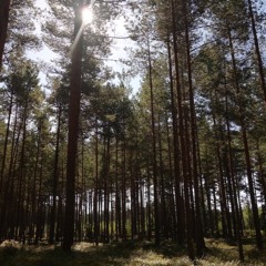 Küla mul käskis vait olla / The village told me to be silent