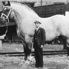 Thugnificent. Prod. Dai