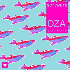 SOFTWARE