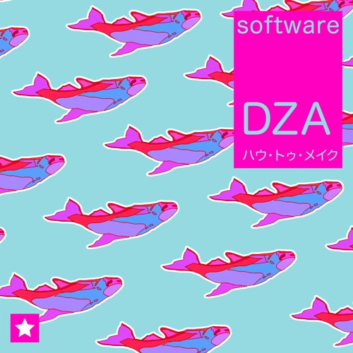 SOFTWARE