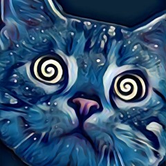 The Beat - Box Break In