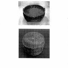 Moss Harvest - Fourth Coin (excerpt)