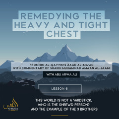 Lesson 6:  The World is not a Yardstick, Who is the Shrewd person? and the Example of the 3 Brothers