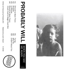 Probably Will - Trying (DDR001)