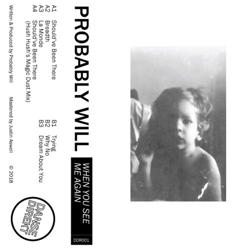 DDR001 - Probably Will - When You See Me Again EP