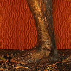 Verba Volant (feat. Merryn Jeann)